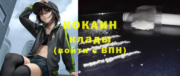 прущий лед Дмитриев