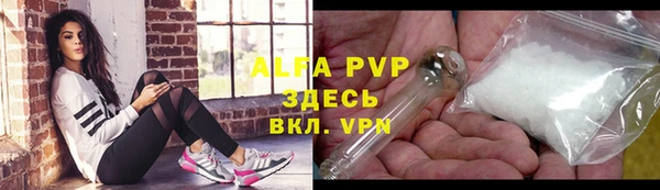 прущий лед Дмитриев