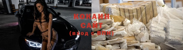 эйфоретик Ельня