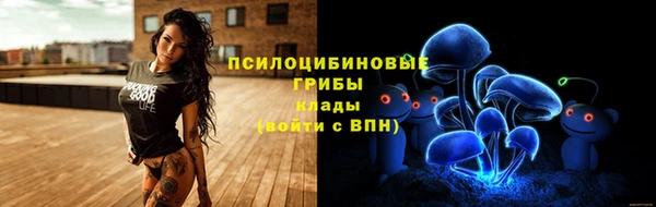 таблы Елабуга