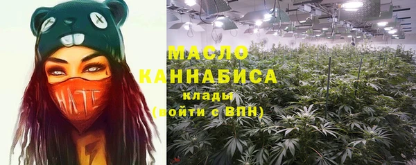 прущий лед Дмитриев
